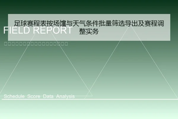 足球赛程表按场馆与天气条件批量筛选导出及赛程调整实务